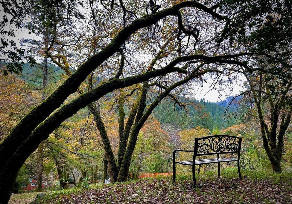 Avenue Of The Giants Pepperwood Place Miranda エクステリア 写真